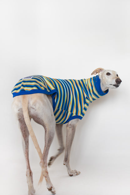 ropa para galgo camiseta manga corta voltio onda dogs
