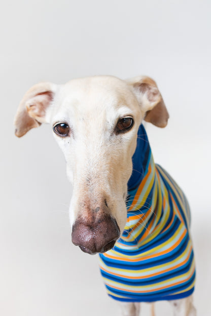 ropa para galgo camiseta manga corta voltio onda dogs