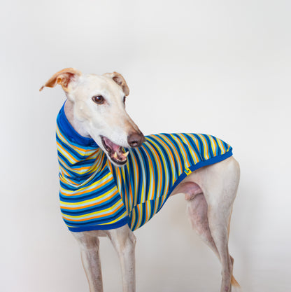 ropa para galgo camiseta manga corta voltio onda-dogs