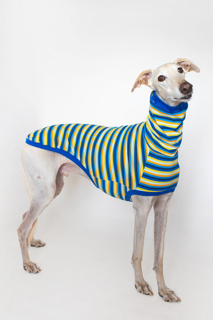 ropa para galgo camiseta manga corta voltio onda-dogs