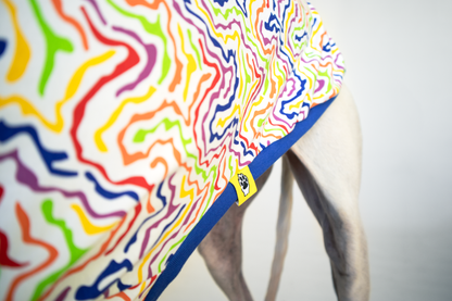 ropa para galgo camiseta manga larga arcoiris electrico onda dogs