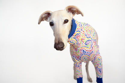 ropa para galgo camiseta manga larga arcoiris electrico onda dogs