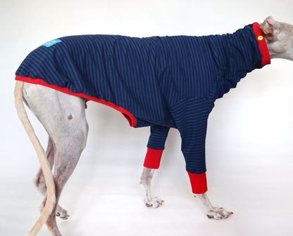 ropa para galgo camiseta manga larga azul clasica onda dogs