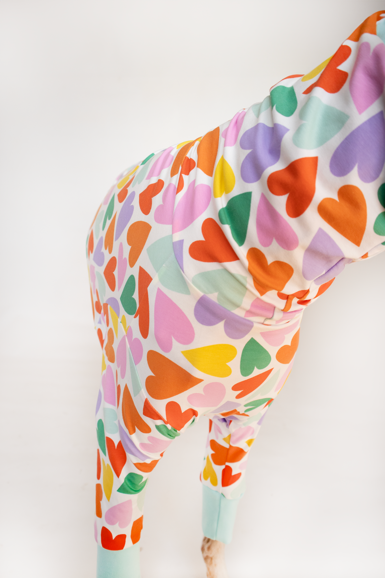 ropa para galgo camiseta manga larga corazones multicolor onda dogs