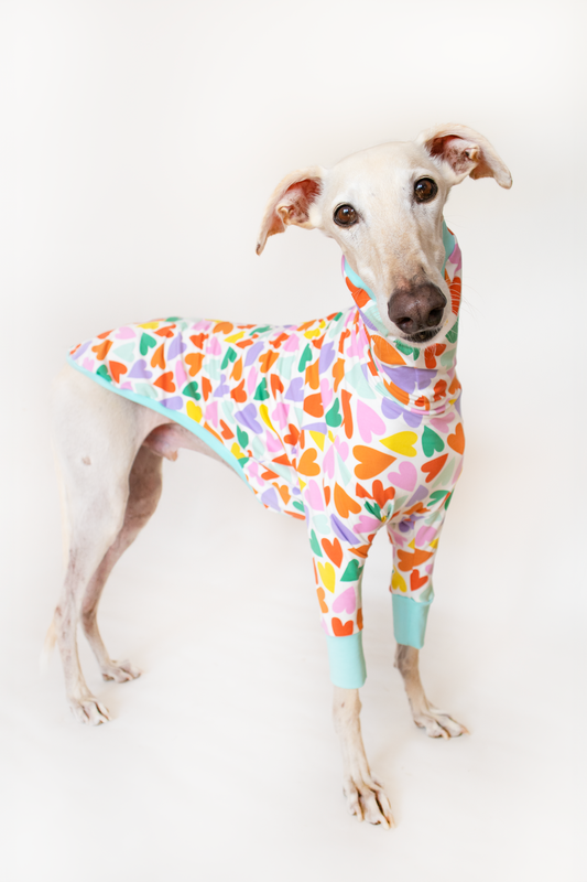 ropa para galgo camiseta manga larga corazones multicolor onda dogs