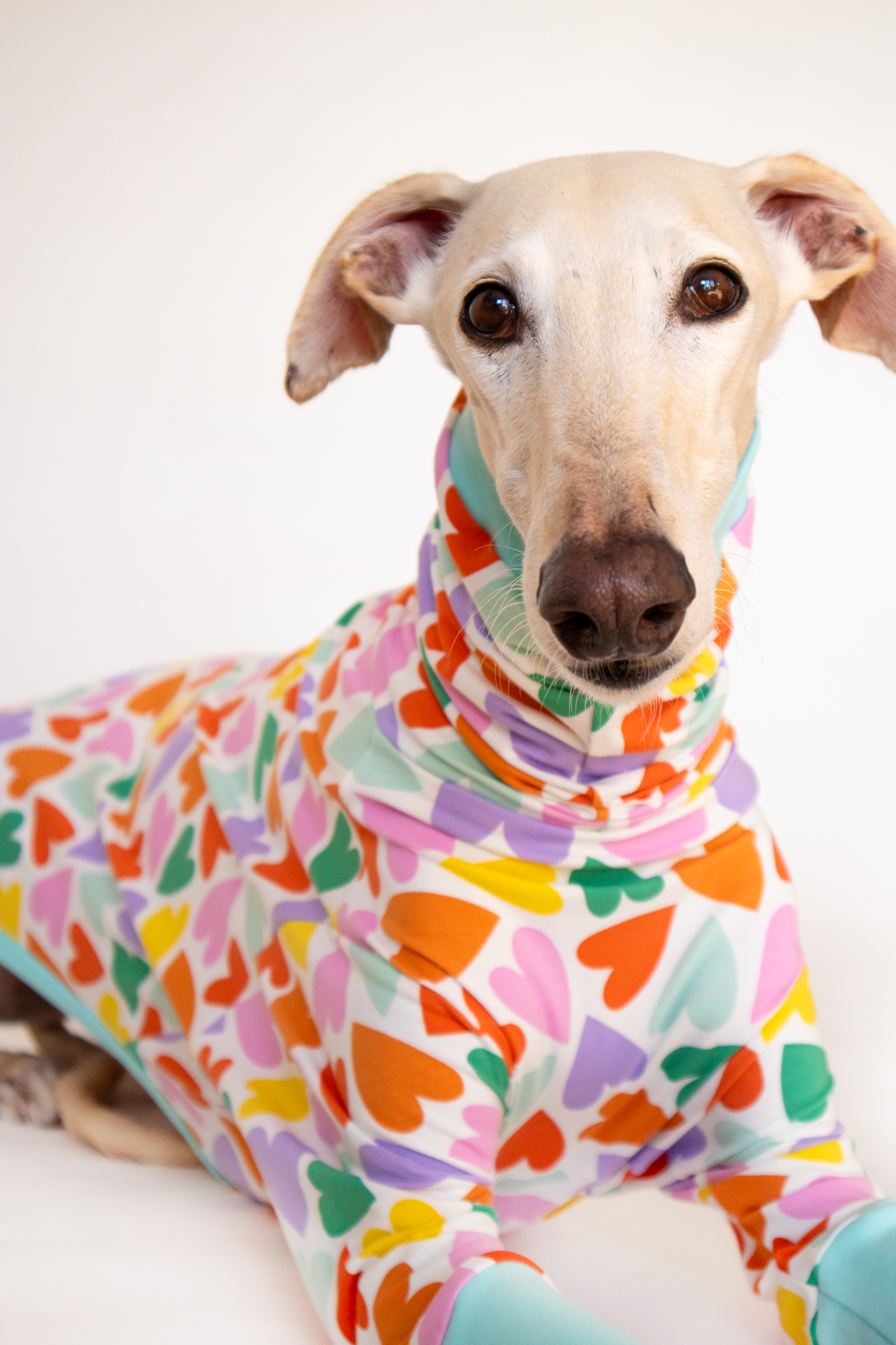 ropa para galgo camiseta manga larga corazones multicolor onda dogs