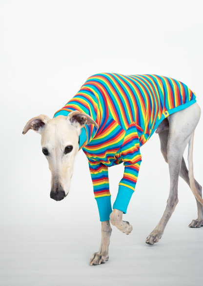 ropa para galgo camiseta manga larga pitufa arcoiris onda dogs