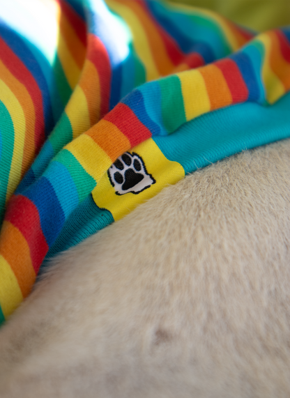 ropa para galgo camiseta manga larga pitufa arcoiris onda dogs