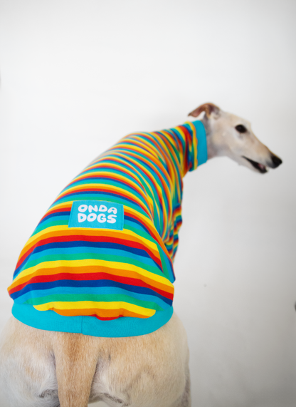 ropa para galgo camiseta manga larga pitufa arcoiris onda dogs