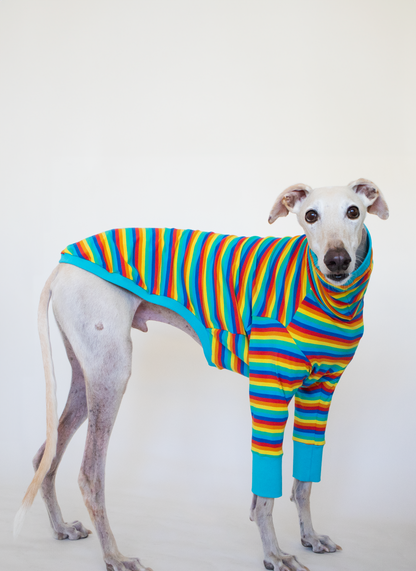 ropa para galgo camiseta manga larga pitufa arcoiris onda dogs
