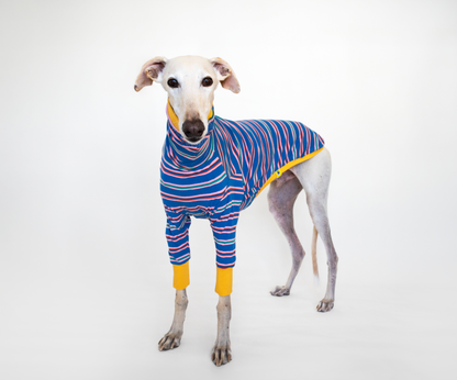 ropa para galgo camiseta manga larga solar pop onda dogs