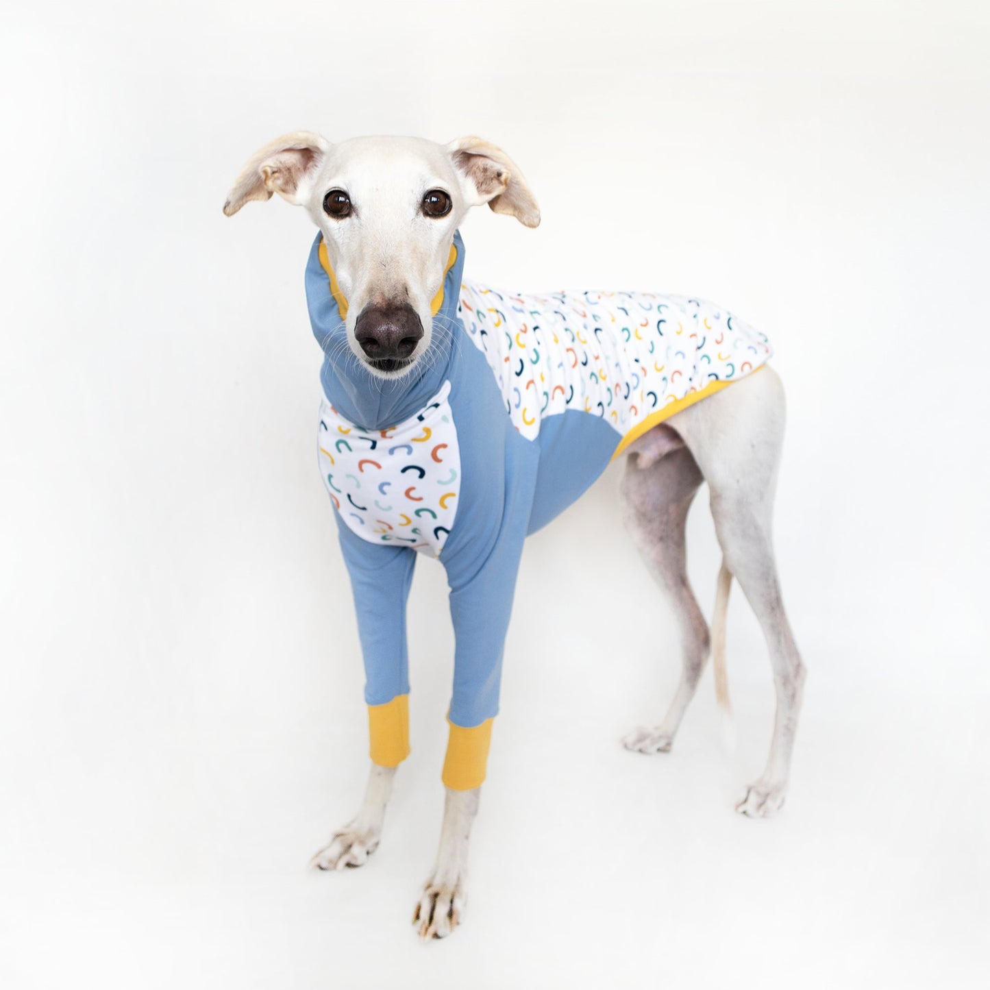 ropa galgo sudadera combi azul onda dogs greyhound clothes