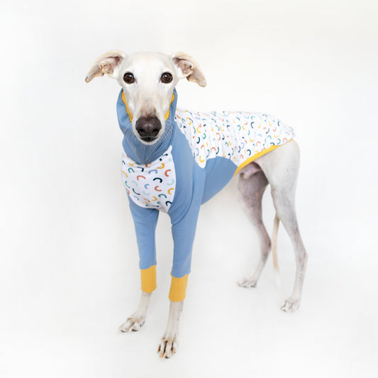 ropa galgo sudadera combi azul onda dogs greyhound clothes