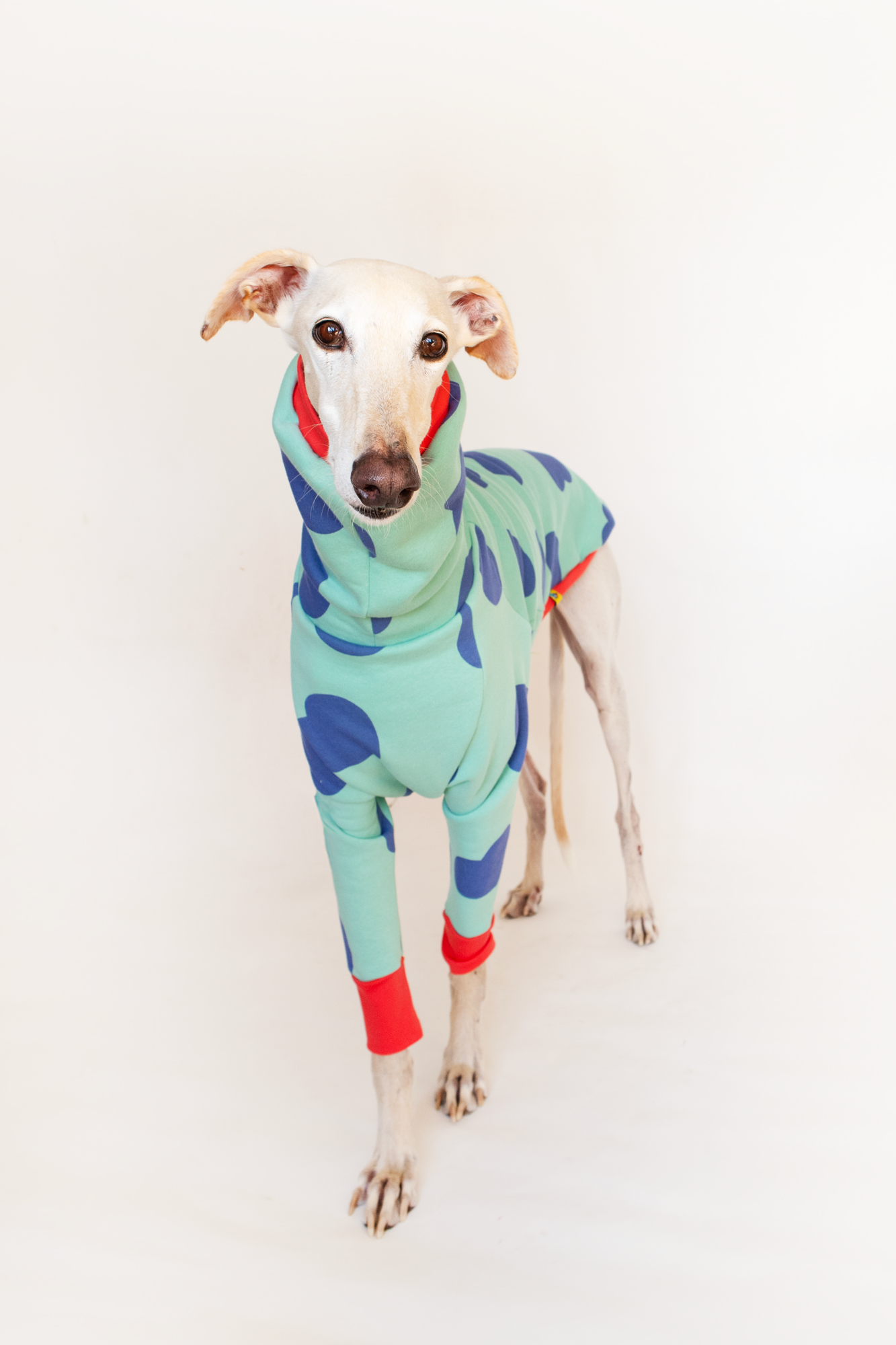 ropa para galgo sudadera manga larga corazones verde onda dogs